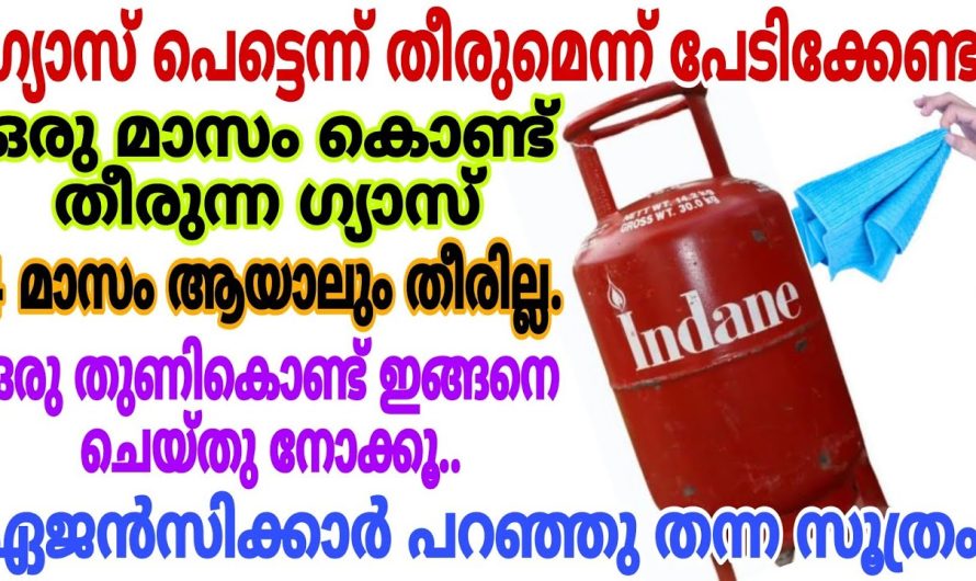 ഗ്യാസ് പെട്ടെന്ന് തീരുമെന്ന് പേടിക്കേണ്ട ഇങ്ങനെ ചെയ്തു നോക്കൂ