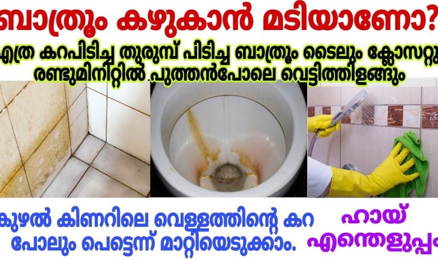 ബാത്റൂം ടൈലും ക്ലോസറ്റുകളും കണ്ണാടി പോലെ വെട്ടിത്തിളങ്ങും ഇതൊന്നു സ്പ്രേ ചെയ്താൽ മതി