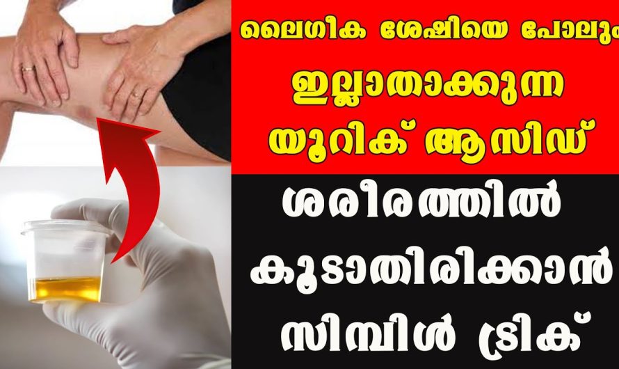 ഇതുവരെ ആരും നിങ്ങളോട് പറയാത്ത ചില സത്യങ്ങള്‍