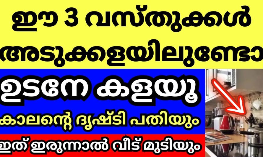 നിങ്ങളുടെ അടുക്കളയിൽ ഈ 3 വസ്തുക്കൾ ഇരിപ്പുണ്ടോ? എങ്കിൽ ഉടനെ എടുത്ത് മാറ്റൂ