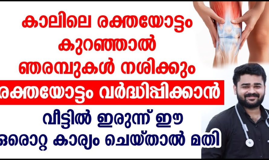 രക്തയോട്ടം വർദ്ധിപ്പിക്കാൻ വീട്ടിൽ ഇരുന്ന് ഈ ഒരൊറ്റ കാര്യം ചെയ്താൽ മതി