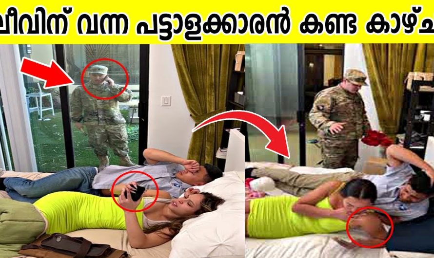 കണ്ണ് നനയാതെ ഇത് കണ്ടുതീർക്കാൻ പറ്റില്ല
