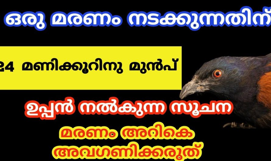 ഒരു മര..ണം നടക്കുന്നതിന് ഉപ്പൻ നൽകുന്ന സൂചന