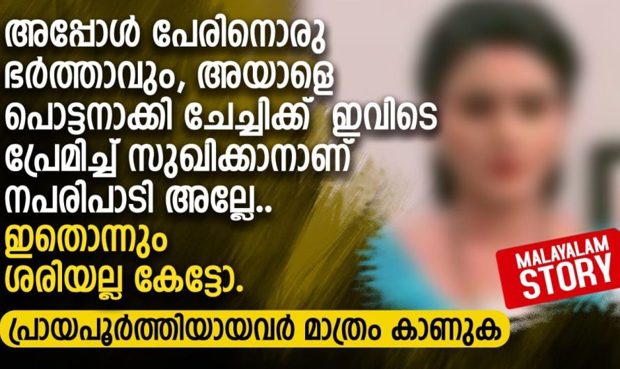 ചേച്ചിക്ക് ഇവിടെ പ്രേമിച്ച് സുഖിക്കാനാണ് പരിപാടി അല്ലേ.