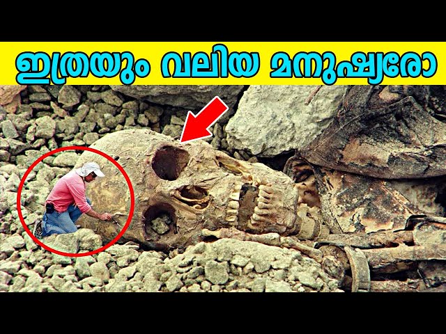 ഏറ്റവും വലിയ മനുഷ്യ അസ്ഥികൂടം കണ്ടെത്തി