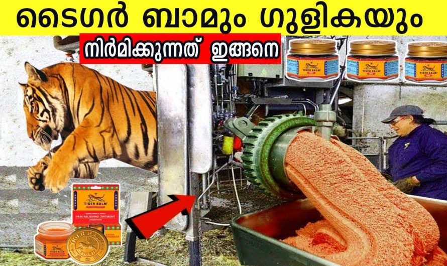 ഗുളികയും ടൈഗർ ബാമും ഫാക്ടറികളിൽ നിർമ്മിക്കുന്നത് ഇങ്ങനെയാണ്