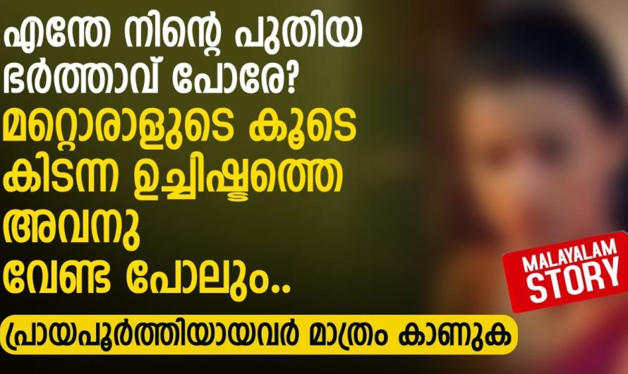 എന്തേ.. നിന്റെ പുതിയ ഭർത്താവ് പോരേ