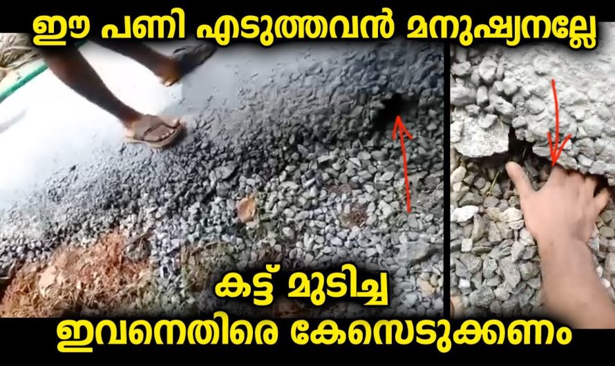 ഇങ്ങനെ പണിയെടുത്തവനെ നിയമത്തിന് മുന്നിൽ എത്തിക്കുകയും ഈ പണി നന്നാക്കി ചെയ്യിക്കുകയും വേണം