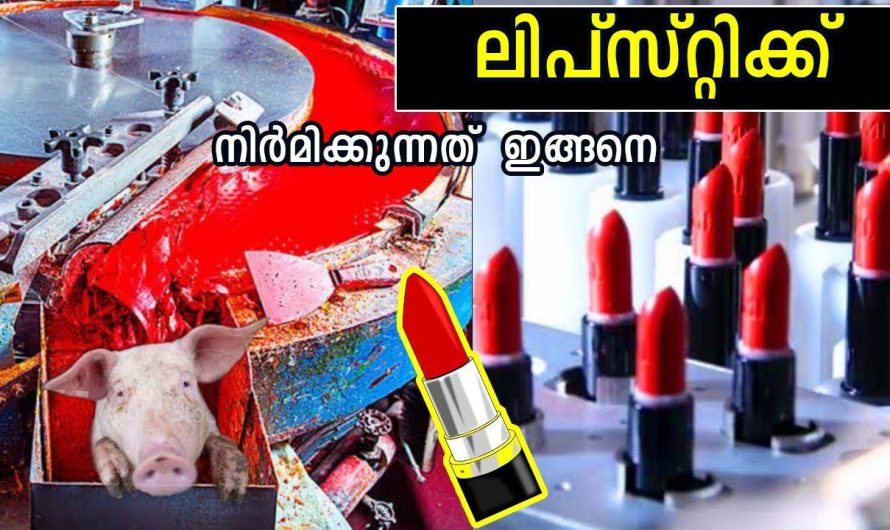 നിത്യ ജീവിതത്തിൽ നമ്മൾ ഉപയോഗിക്കുന്ന ചില വസ്തുക്കളുടെ നിർമ്മാണരീതി