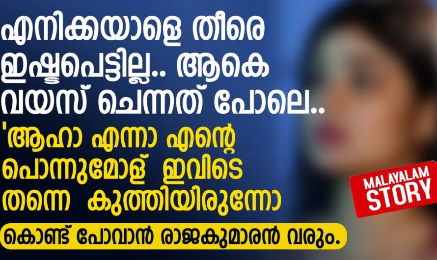 എനിക്കയാളെ തീരെ ഇഷ്ടപെട്ടില്ല.. ആകെ വയസ് ചെന്നത് പോലെ
