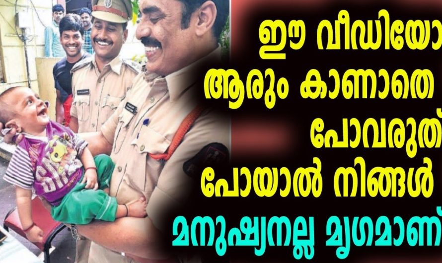 ഈ വീഡിയോ ആരും കാണാതെ പോവരുത്