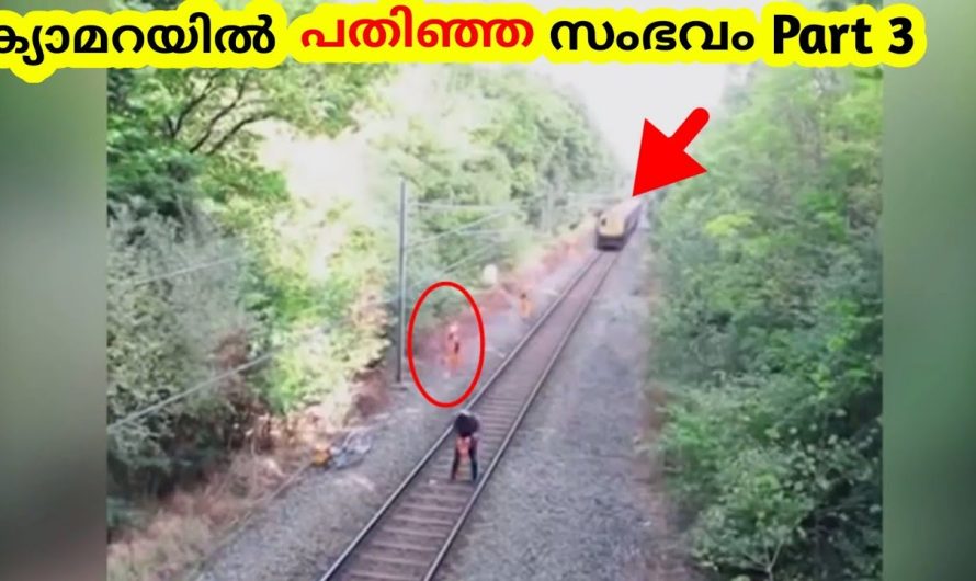 ക്യാമറയിൽ പതിഞ്ഞ സംഭവങ്ങൾ