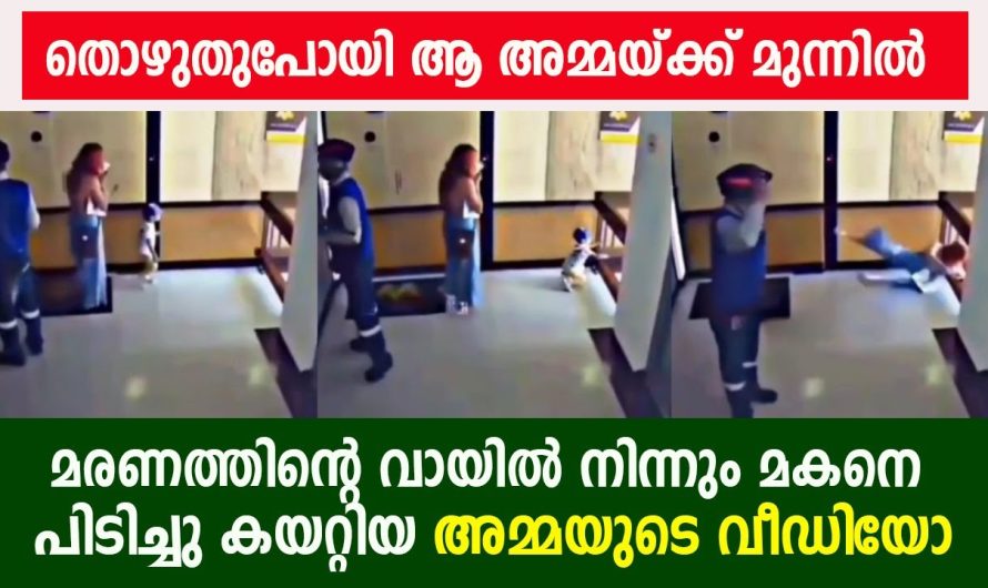 അമ്മയോളം ഈ ലോകത്തിലെ പോരാളി മറ്റാരുമില്ല..