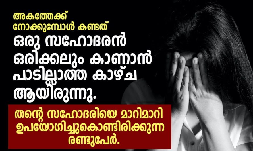 ഒരു സഹോദരൻ ഒരിക്കലും കാണാൻ പാടില്ലാത്ത കാഴ്ച ആയിരുന്നു