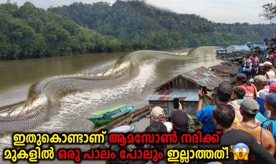 ലോകത്തിലെ ഏറ്റവും വലിയ നദിയായ ആമസോൺ നദിയിലെ നിഗൂഢതകൾ..