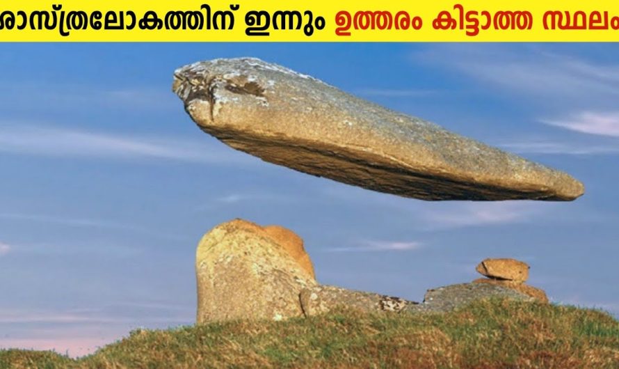 ലോകത്തെ ഞെട്ടിച്ച നാട്രോൺ തടാകത്തിലെ ചിത്രങ്ങൾ..