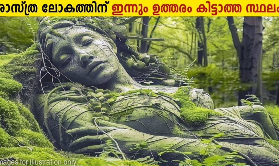 ശാസ്ത്ര ലോകത്തെ അത്ഭുതപ്പെടുത്തിയ സ്ഥലങ്ങൾ!😱