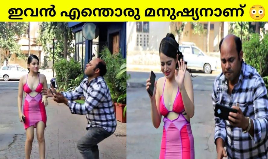 ഇവൻ ആള് കൊള്ളാമല്ലോ