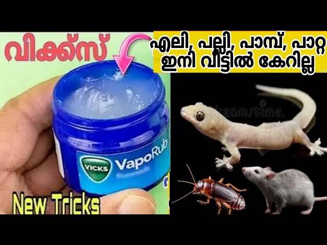 ഒരു തുള്ളി മതി എലി, പല്ലി, പാമ്പ് പാറ്റ വീട്ടിൽ വരില്ല