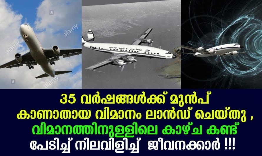 35 വർഷങ്ങൾക്ക് മുൻപ് കാണാതായ വിമാനം ലാൻഡ് ചെയ്തു