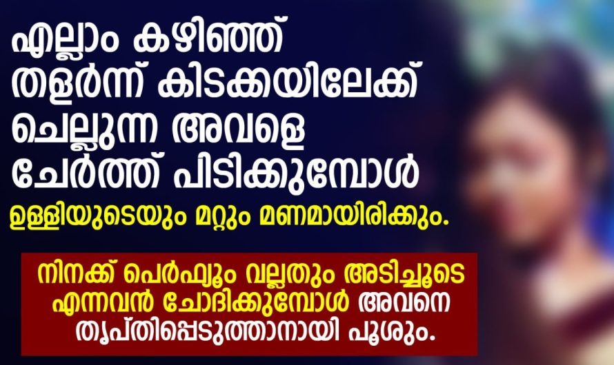 അവളുടെ മാറിലും വയറ്റിലുമൊക്കെ കാണുന്ന പ്രസവത്തെ തുടർന്ന് ഉണ്ടായ വരകൾ അവനിൽ