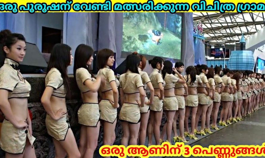 ഒരു ആണിന് മൂന്ന് സ്ത്രീകൾ