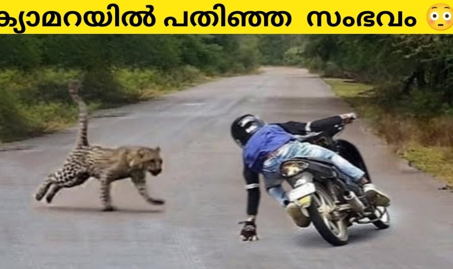 കടയിലെ CCTV യിൽ ദൃശ്യം പതിഞ്ഞത് തെളിവായി