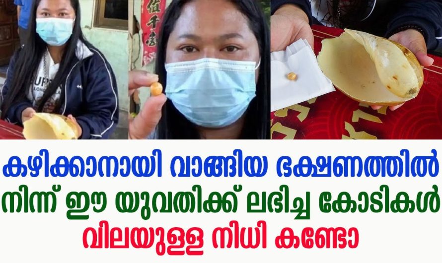 കഴിക്കാനായി വാങ്ങിയ ഭക്ഷണത്തിൽ നിന്ന് ഈ യുവതിക്ക് ലഭിച്ച കോടികൾ വിലയുള്ള നിധി കണ്ടോ