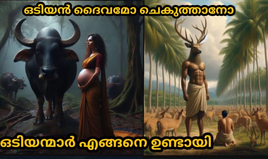ജന്മിമാർക്ക് എതിരെ അടിയാളന്മാർ ചെയ്തുപോന്ന ഒടിയൻ വിദ്യ..