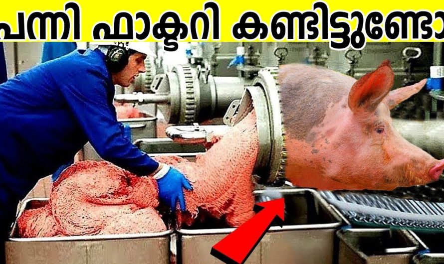ഇങ്ങനെയും ഫാക്ടറികളുണ്ട് | ഇതൊന്നും കാണാതെ പോകരുത്