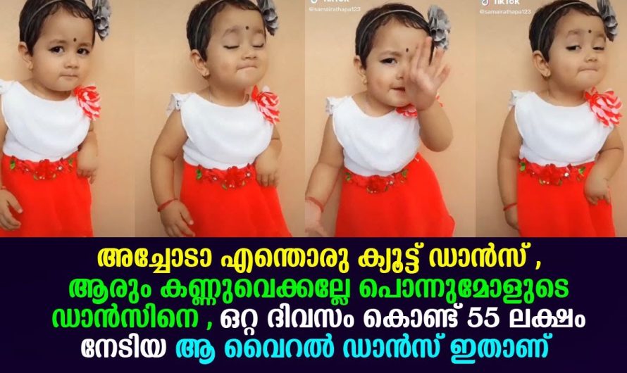 സോഷ്യൽ മീഡിയ കീഴടക്കിയ ആ കുഞ് രാജകുമാരി ഇതാണ് !!!!