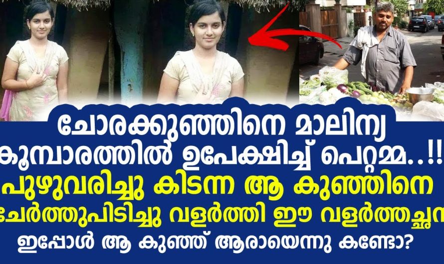 കുപ്പയിൽ പുഴുവരിച്ച കിടന്ന കുഞ്ഞിനെ വളർത്തി വലുതാക്കി, ഇന്ന് അവൾ ആരെന്നു കണ്ടോ