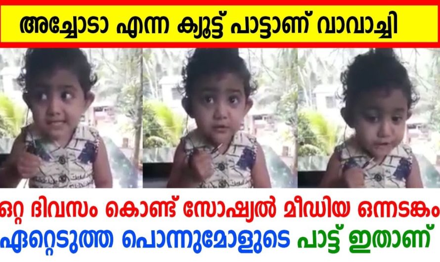 സോഷ്യൽ മീഡിയ ഒന്നടങ്കം ഏറ്റെടുത്ത പൊന്നുമോളുടെ പാട്ട് ഇതാണ് !!