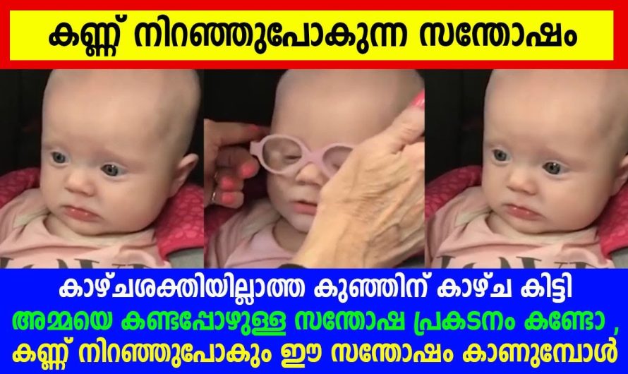 കാഴ്ചശക്തിയില്ലാത്ത കുഞ്ഞിന് കാഴ്ച കിട്ടി അമ്മയെ കണ്ടപ്പോഴുള്ള സന്തോഷ പ്രകടനം കണ്ടോ ,