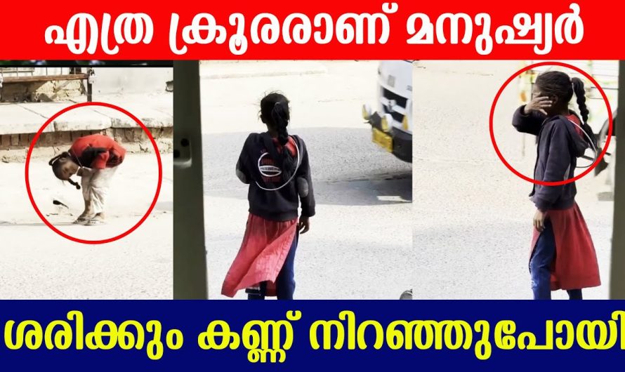 എത്ര ക്രൂരരാണ് നമ്മൾ മനുഷ്യർ ശരിക്കും കണ്ണ് നിറഞ്ഞുപോയി