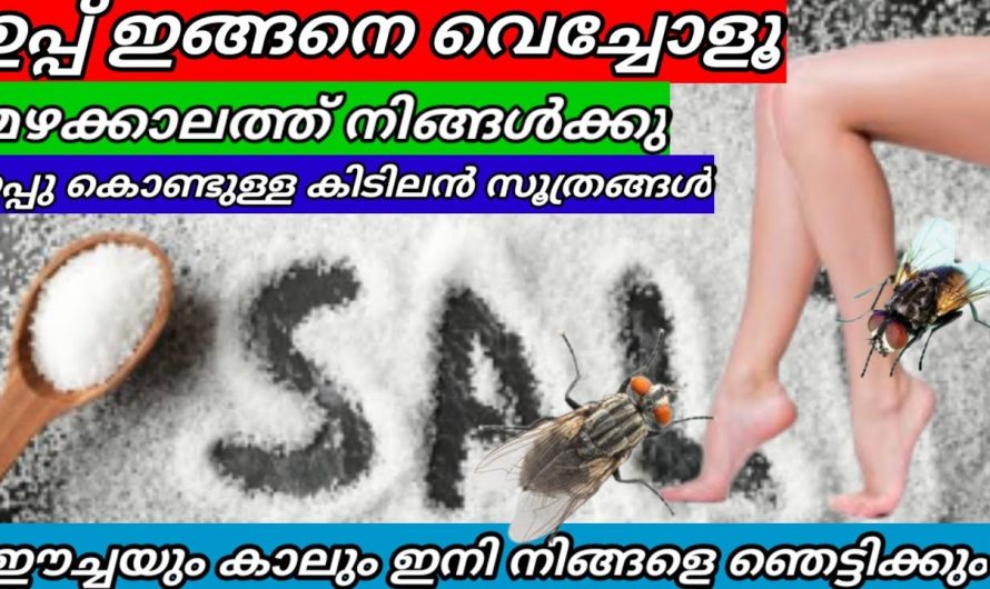 ഉപ്പിന്റെ സൂത്രവിദ്യ