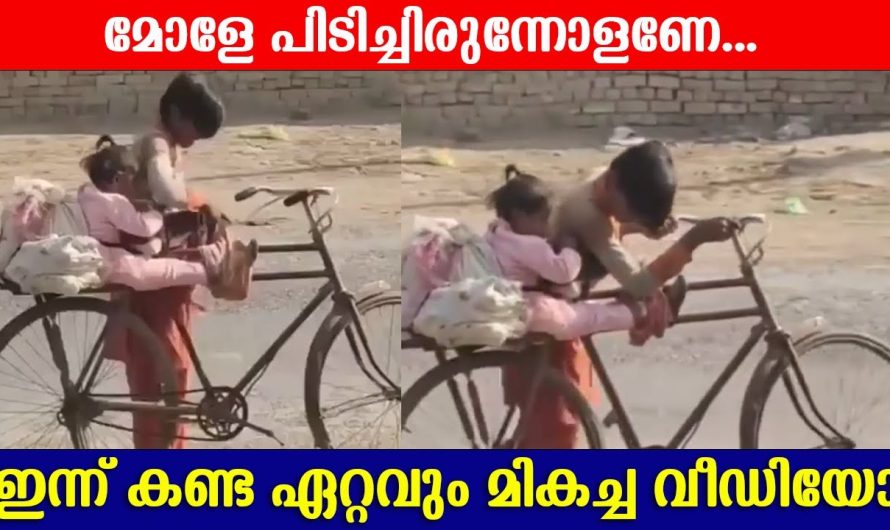 ഇതാണ് ഇപ്പോൾ സോഷ്യൽ മീഡിയയിൽ വൈറലായ ആങ്ങളയും പെങ്ങളും