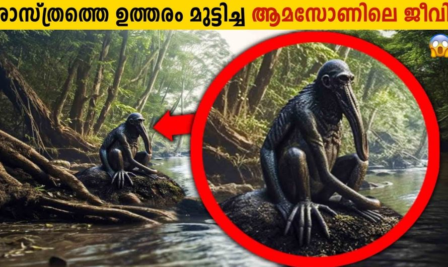 ആമസോൺ വനത്തിലെ ഭീകരജീവികളും അവയുടെ സ്വഭാവ സവിശേഷതകളും..