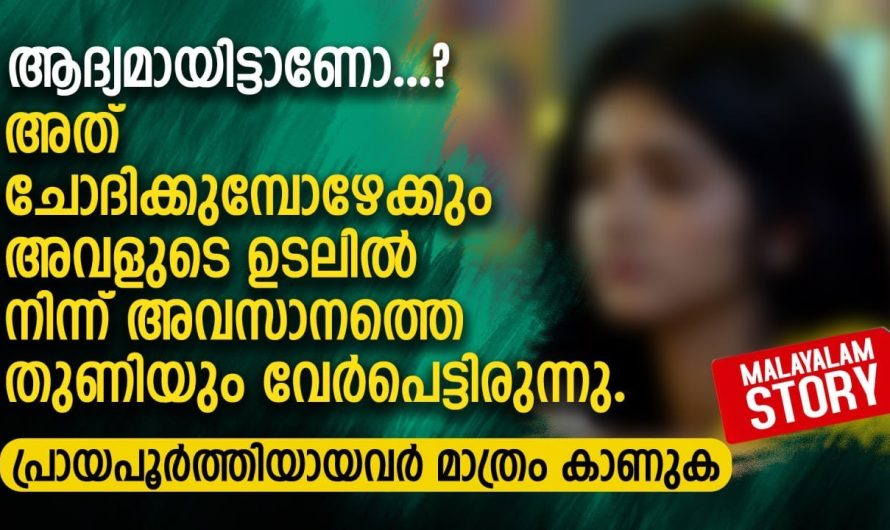 വേ.ശ്യ.യാ.യ. പെൺകുട്ടിയോട് യുവാവിന് തോന്നിയ പ്രണയം.. എന്നാൽ പിന്നീട് സംഭവിച്ചത്..