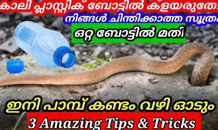 പ്ലാസ്റ്റിക് ബോട്ടിൽ ഇങ്ങനെ ചെയ്തു വച്ചു നോക്കൂ