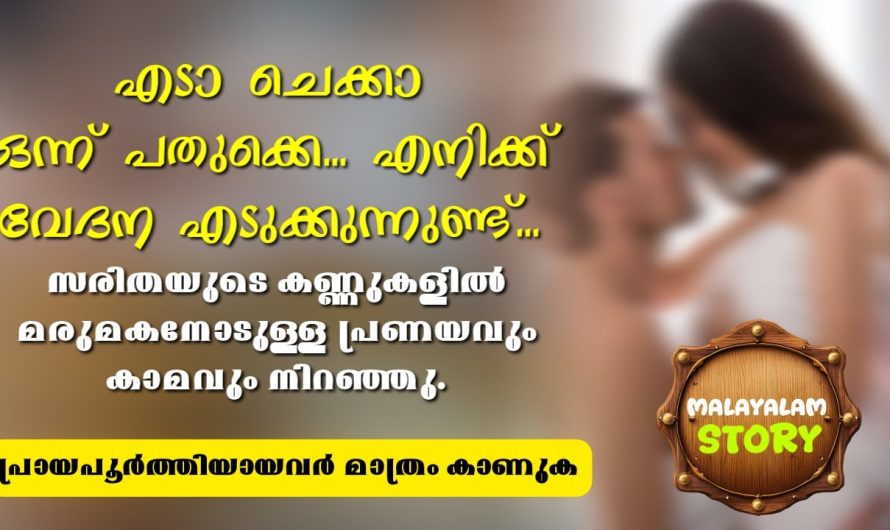 സരിതയുടെ കണ്ണുകളിൽ മരുമകനോടുള്ള പ്രണയവും കാ..മ..വും നിറഞ്ഞു