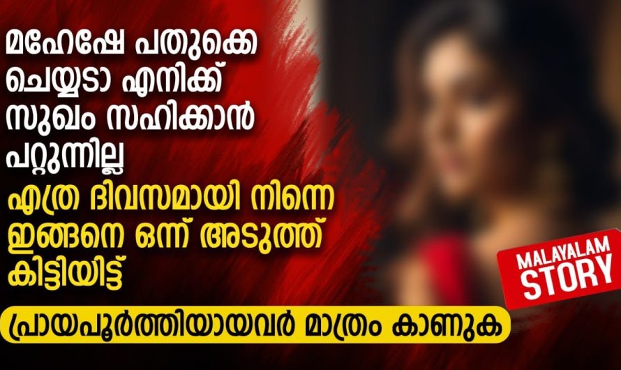 മഹേഷേ പതുക്കെ ചെയ്യടാ.. എനിക്ക് സുഖം സഹിക്കാൻ പറ്റുന്നില്ല.