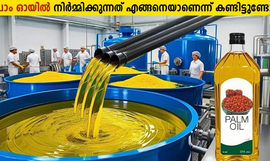 പാം ഓയിൽ നിർമ്മിക്കുന്ന Factory യിലെ അത്ഭുത കാഴ്ചകൾ!😱