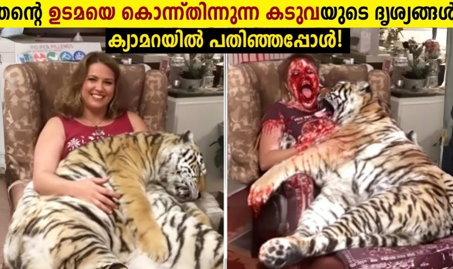 വളർത്തു മൃഗങ്ങൾ ഉടമകളെ ഭക്ഷണമാക്കിയപ്പോൾ!😱