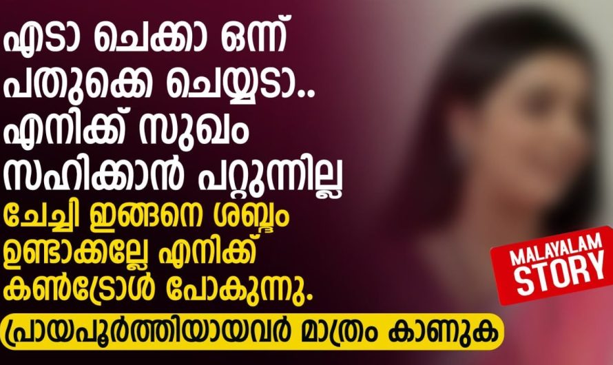 ഞാൻ ചേച്ചിയിൽ അഡിക്റ്റ് ആയി പോയി ചേച്ചി