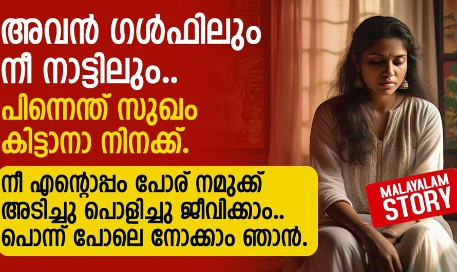 ശെരി ഞാൻ വരാം.. പക്ഷെ എന്താ പ്ലാൻ അതൂടെ പറ