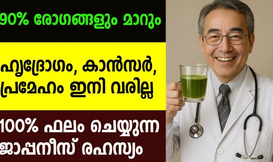 ഇനി ധൈര്യമായി കഴിക്കാം, രോഗങ്ങൾ വരില്ല, ആയുസ്സ് കൂടും