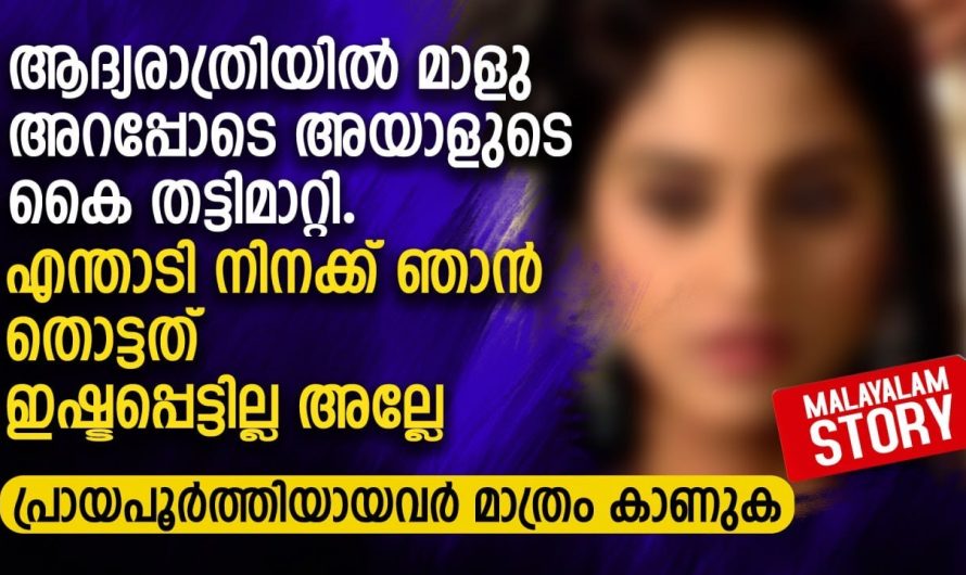ആദ്യരാത്രിയിൽ മാളു അറപ്പോടെ അയാളുടെ കൈ തട്ടിമാറ്റി