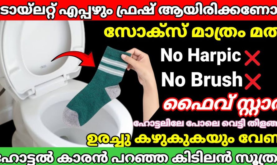 ടോയ്ലറ്റ് എപ്പഴും fresh ആയിട്ടിരിക്കാൻ സോക്സ് ഇങ്ങനെ വെച്ചാൽ മതി