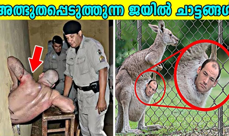 അത്ഭുദപെടുത്തുന്ന 10 ജയിൽ ചാട്ടങ്ങൾ